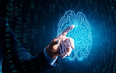 Booster l'employabilité épanouie avec la neuroscience